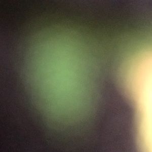 Meet your Posher, Elisa